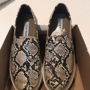 Steve Madden Shoes- snake - slip ons- worn once